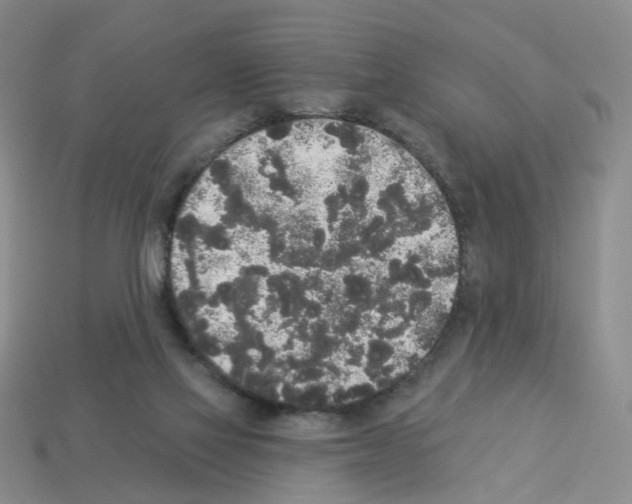 X0000112820069200910021210