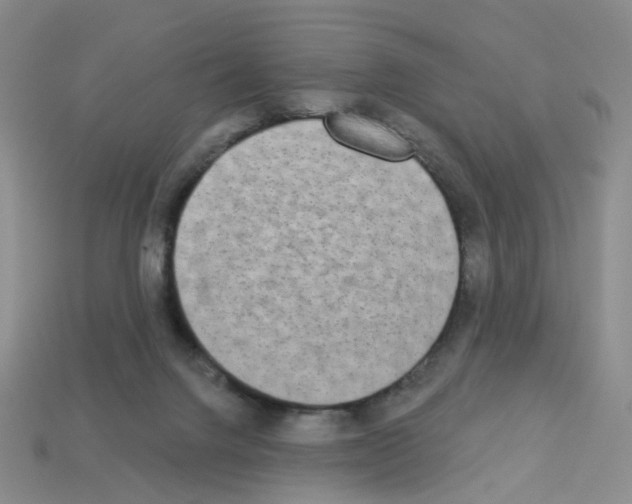 X0000112820072200910021210