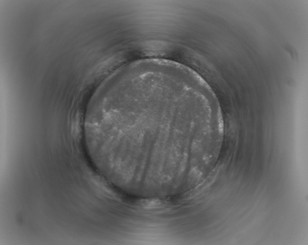 X0000112820074200910021210