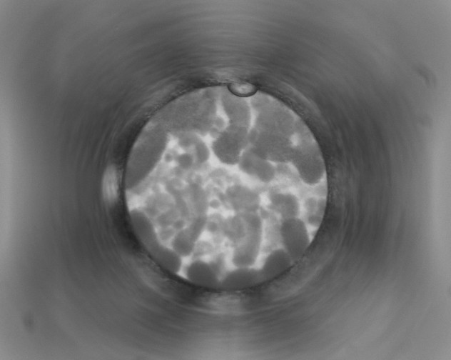 X0000112820075200910021210