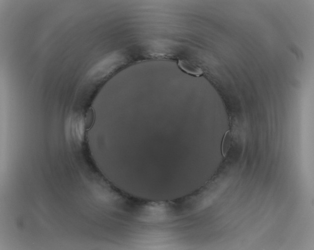 X0000112820076200910021210