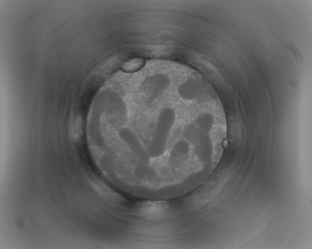 X0000112820077200910021211