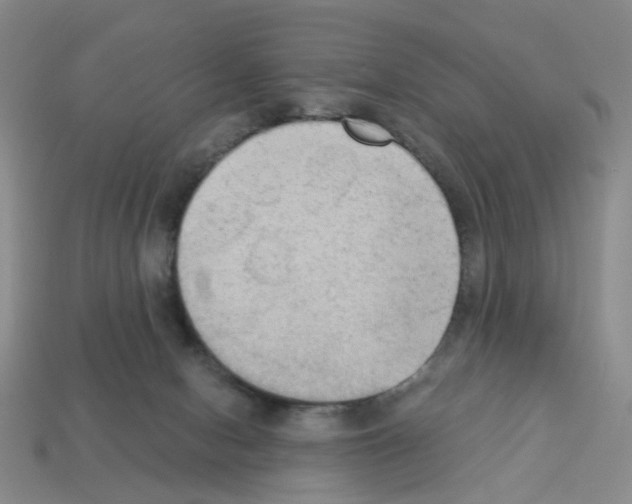 X0000112820078200910021211