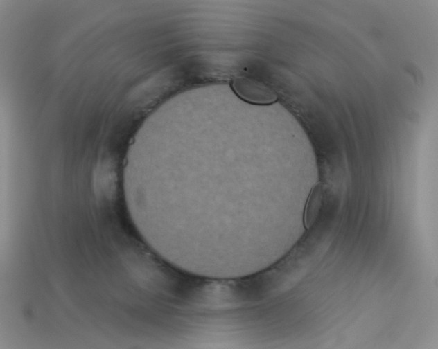 X0000112820080200910021211