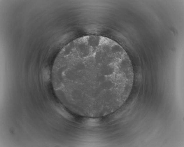 X0000112820081200910021211