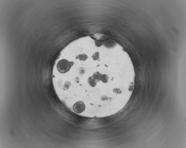 X0000112820082200910021211