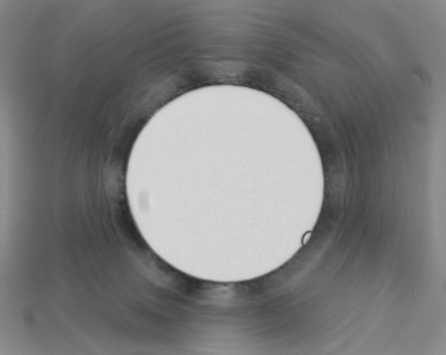 X0000112820083200910021211