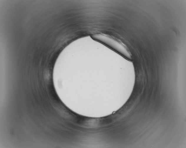 X0000112820084200910021211