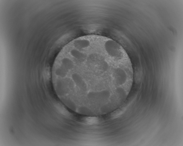 X0000112820085200910021211