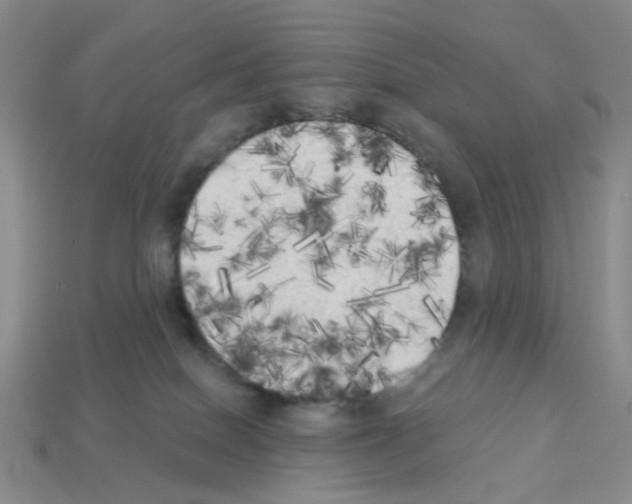 X0000112820086200910021211