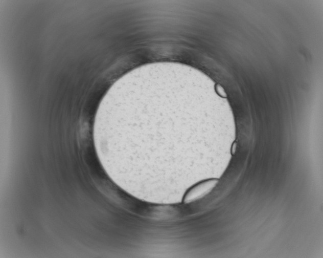 X0000112820087200910021211