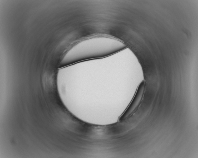 X0000112820088200910021211