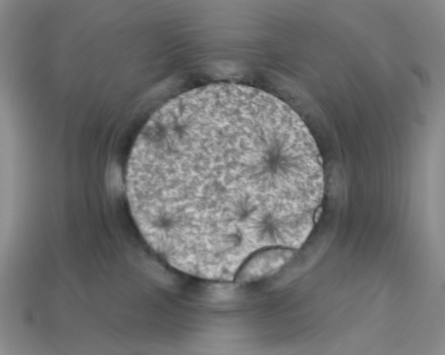 X0000112820089200910021211