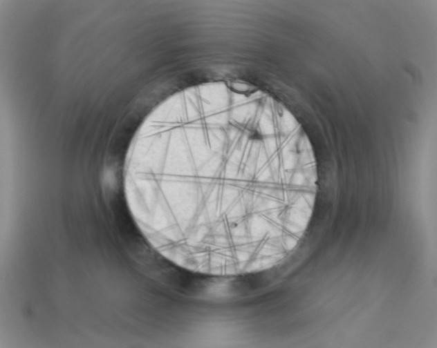 X0000112820090200910021211