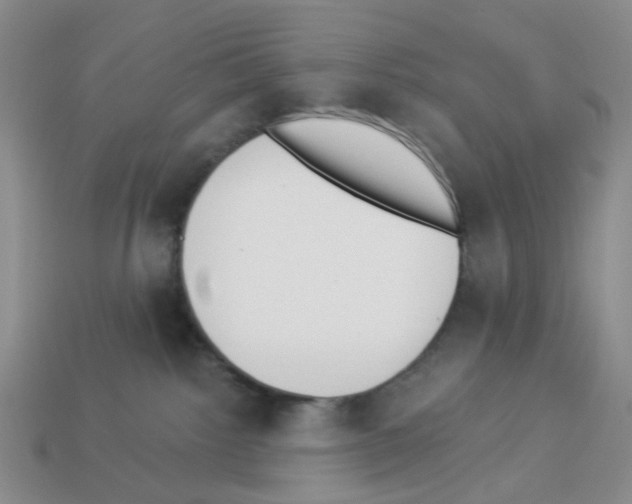 X0000112820092200910021211