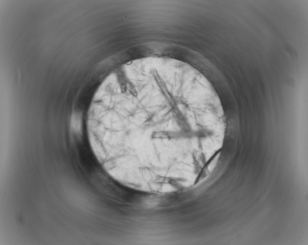 X0000112820094200910021211