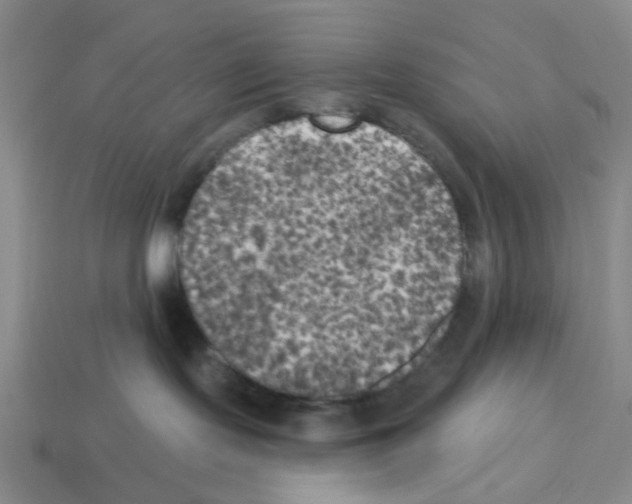 X0000112820095200910021211