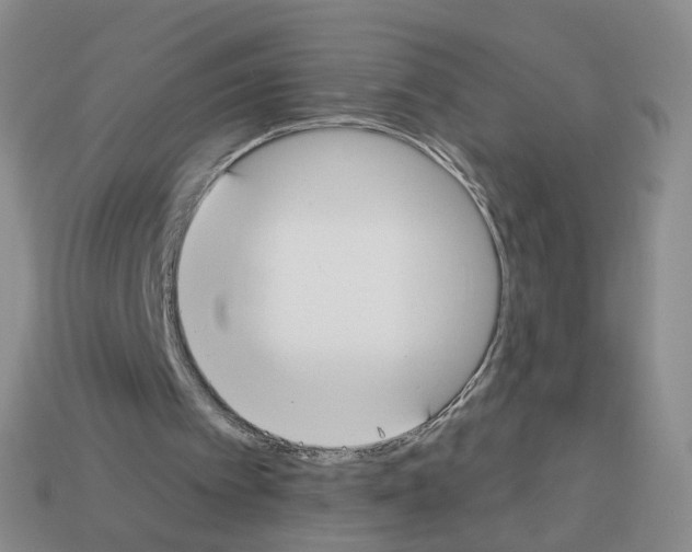 X0000112820097200910021210