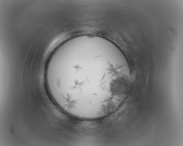 X0000112820101200910021210