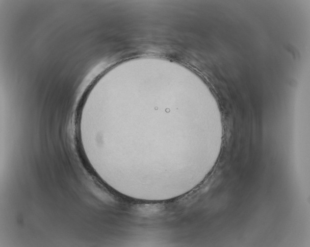 X0000112820102200910021210