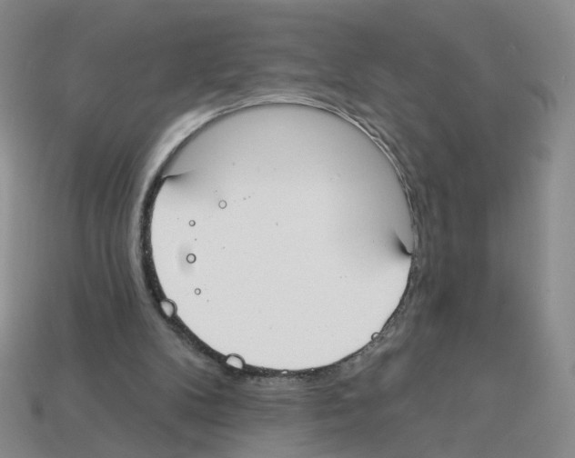 X0000112820104200910021210