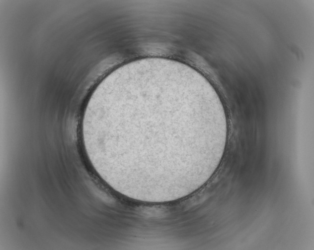 X0000112820106200910021210