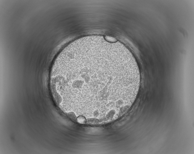 X0000112820107200910021210