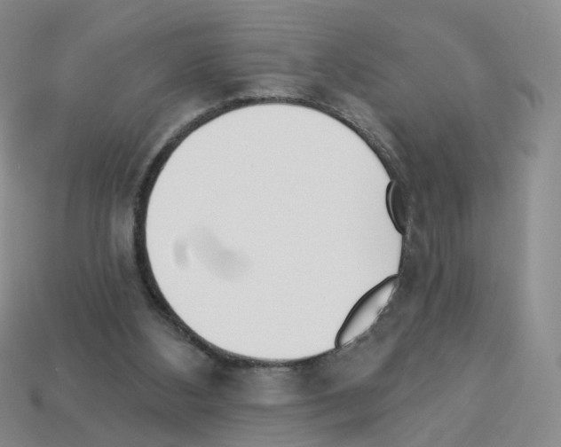 X0000112820108200910021210