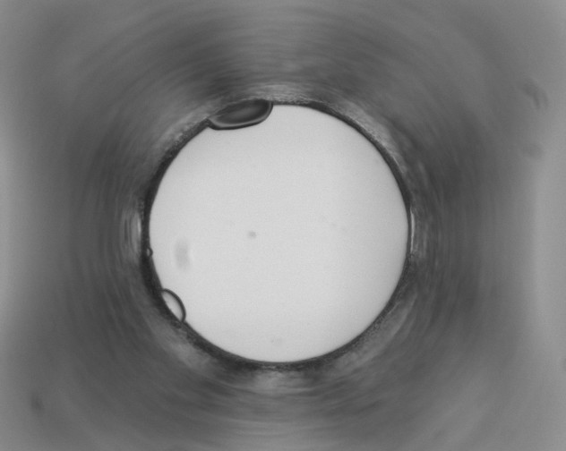 X0000112820109200910021210