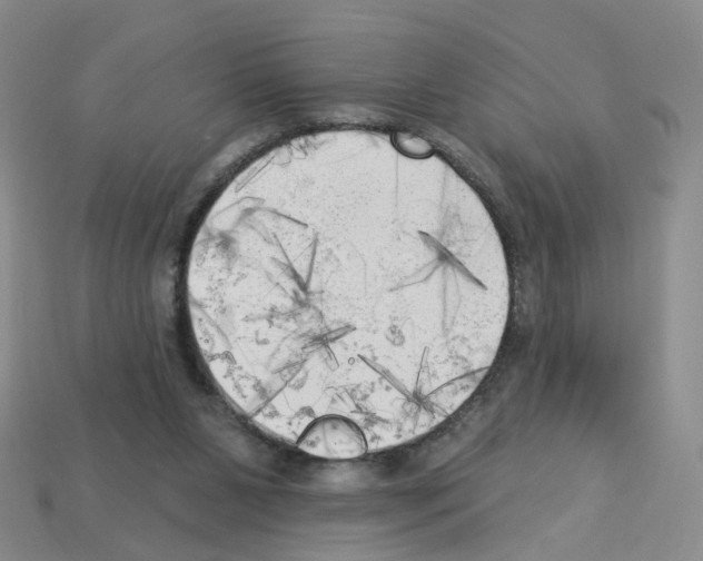 X0000112820111200910021210