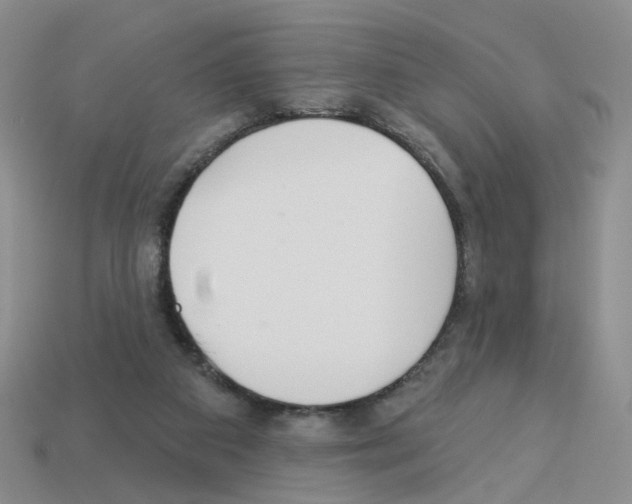 X0000112820113200910021210