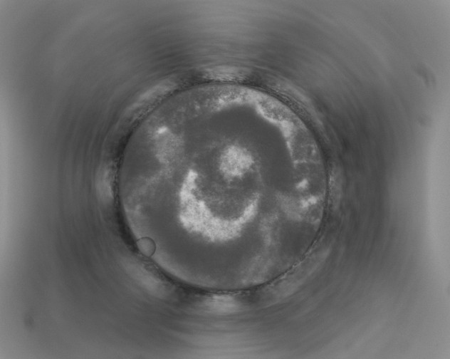 X0000112820114200910021210