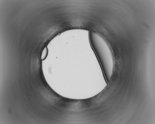 X0000112820116200910021210