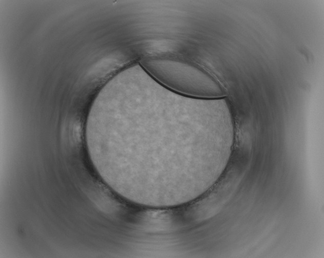 X0000112820117200910021210