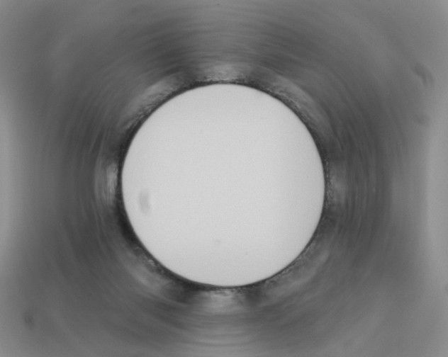 X0000112820118200910021210