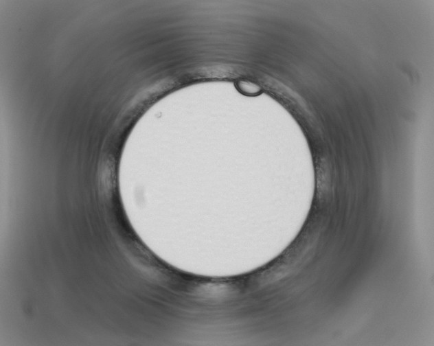 X0000112820119200910021210