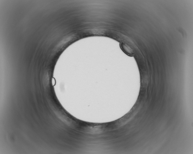 X0000112820120200910021210