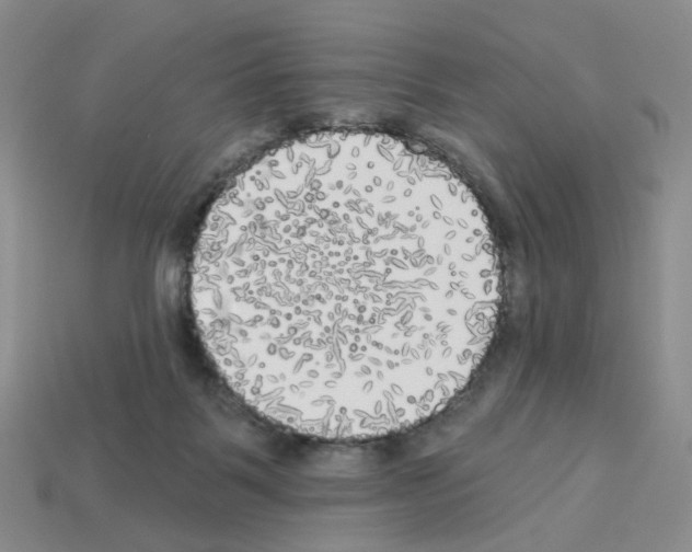 X0000112820123200910021210