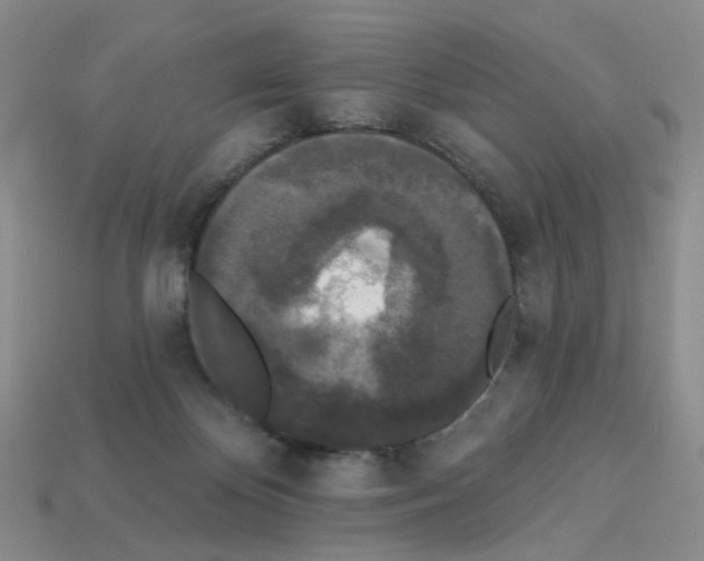 X0000112820124200910021210