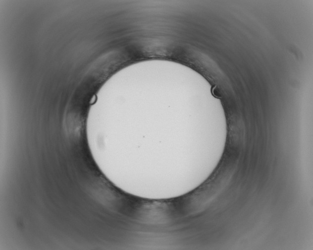 X0000112820125200910021210