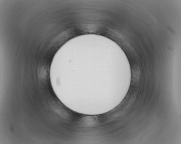 X0000112820126200910021210