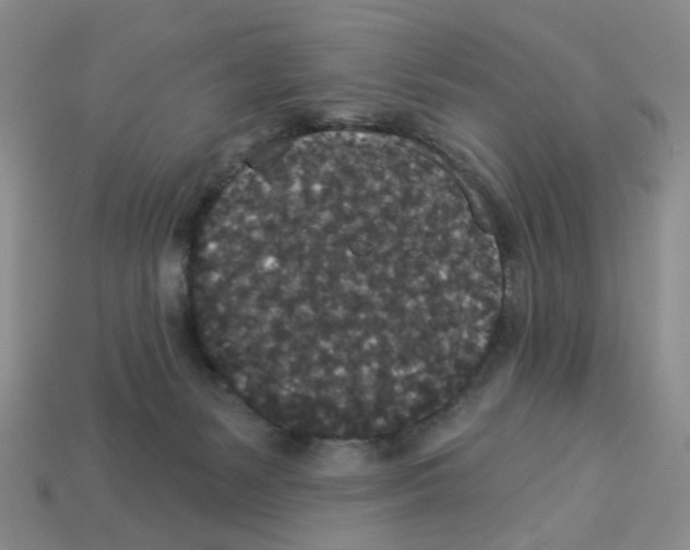 X0000112820127200910021210