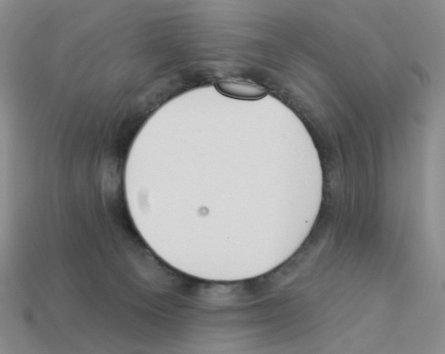 X0000112820129200910021210