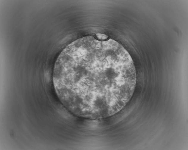 X0000112820131200910021210