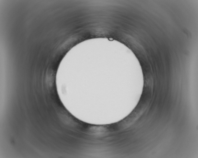 X0000112820133200910021210