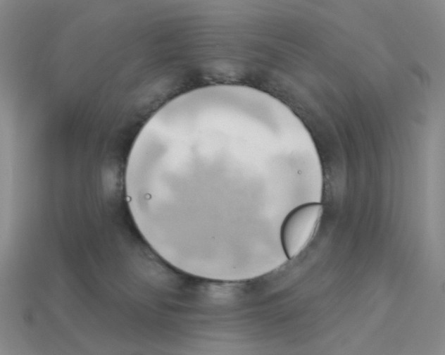 X0000112820134200910021210