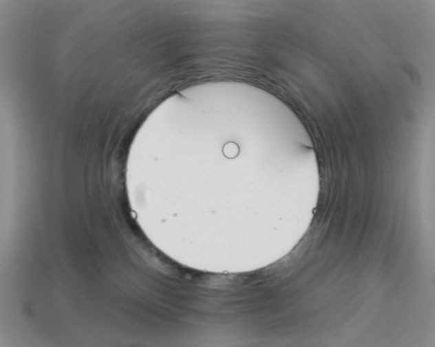 X0000112820136200910021210