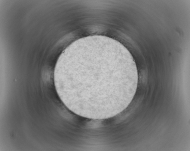 X0000112820138200910021210