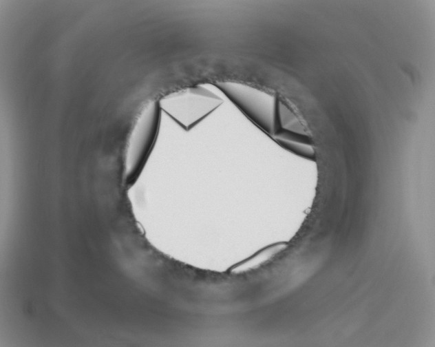 X0000112820144200910021210