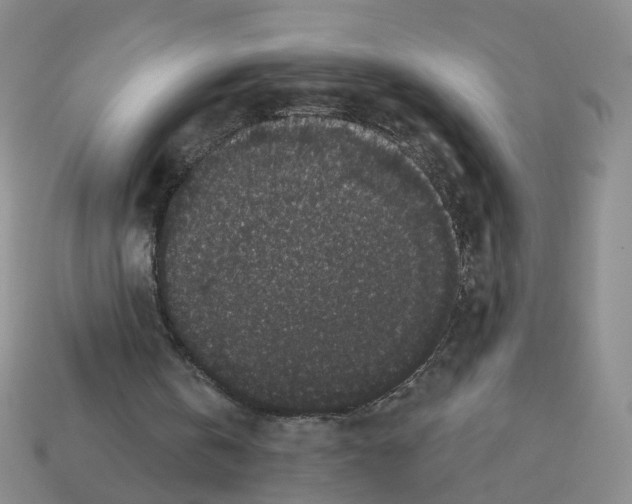 X0000112820146200910021209